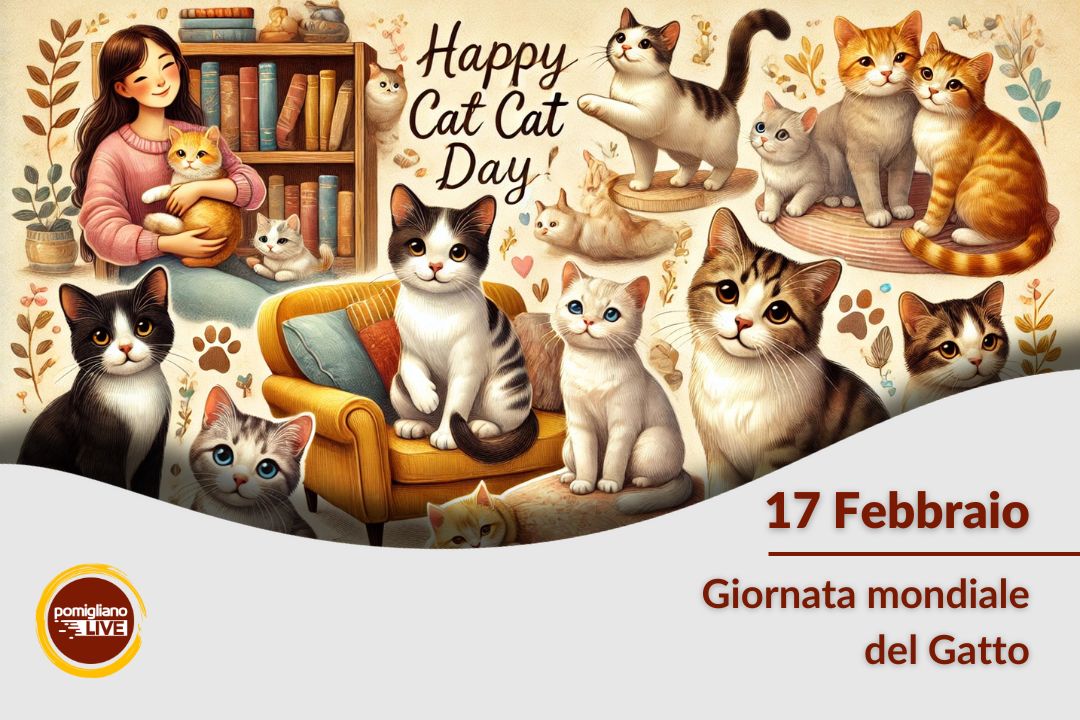 17 Febbraio, Giornata mondiale del Gatto